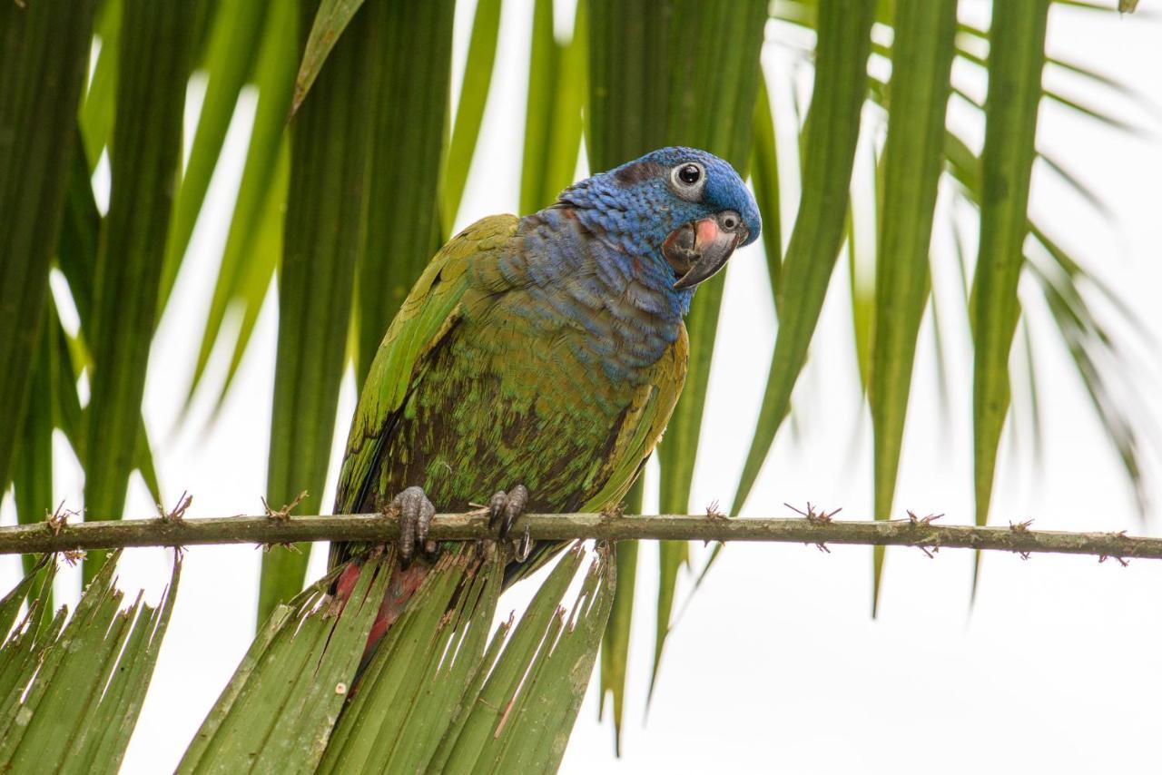 Kuyana Amazon Lodge Archidona 외부 사진