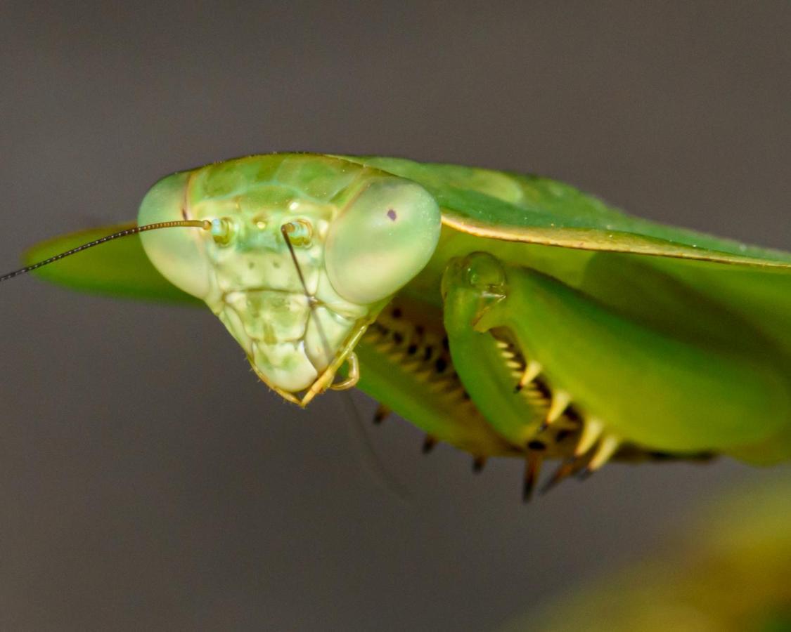 Kuyana Amazon Lodge Archidona 외부 사진