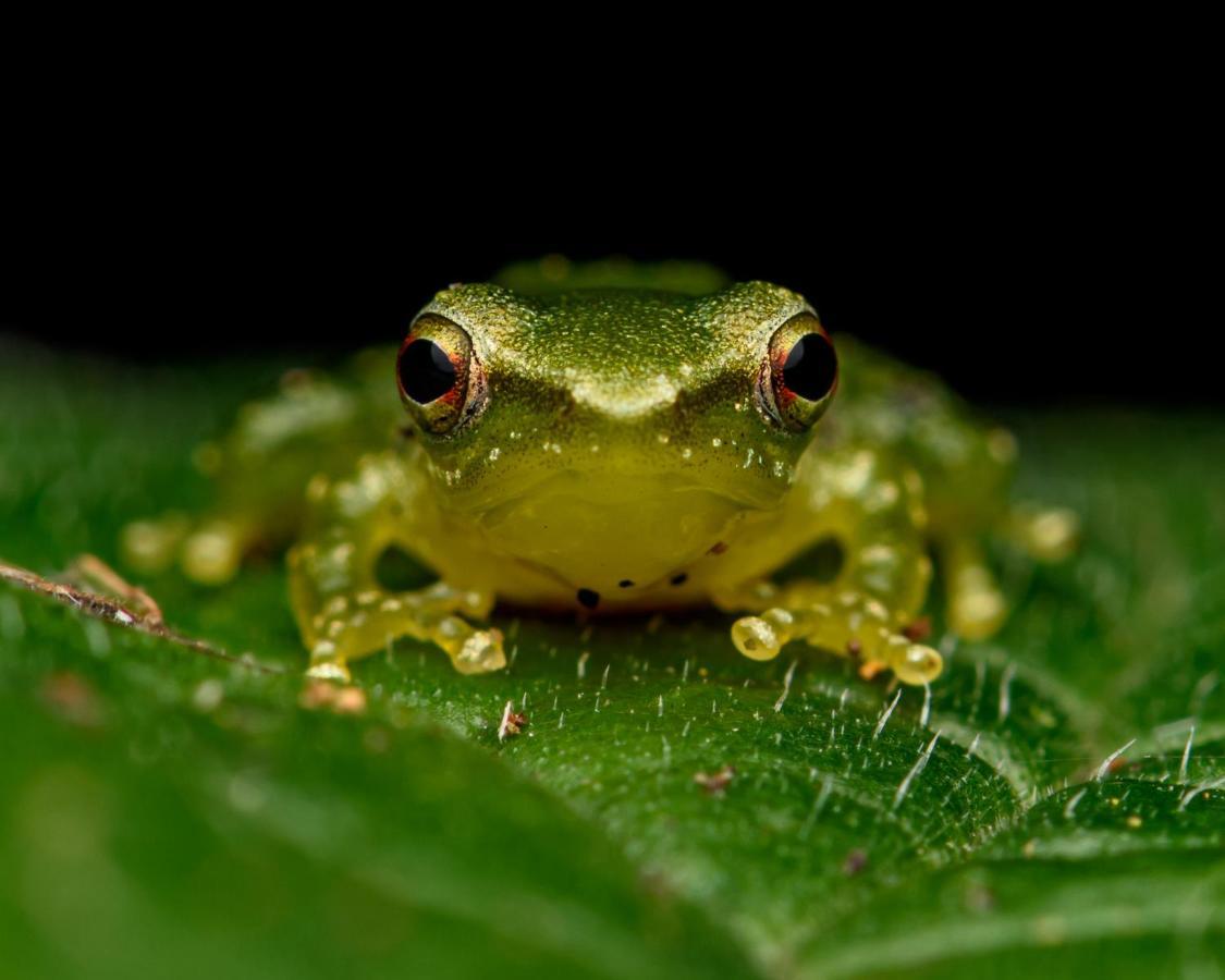 Kuyana Amazon Lodge Archidona 외부 사진