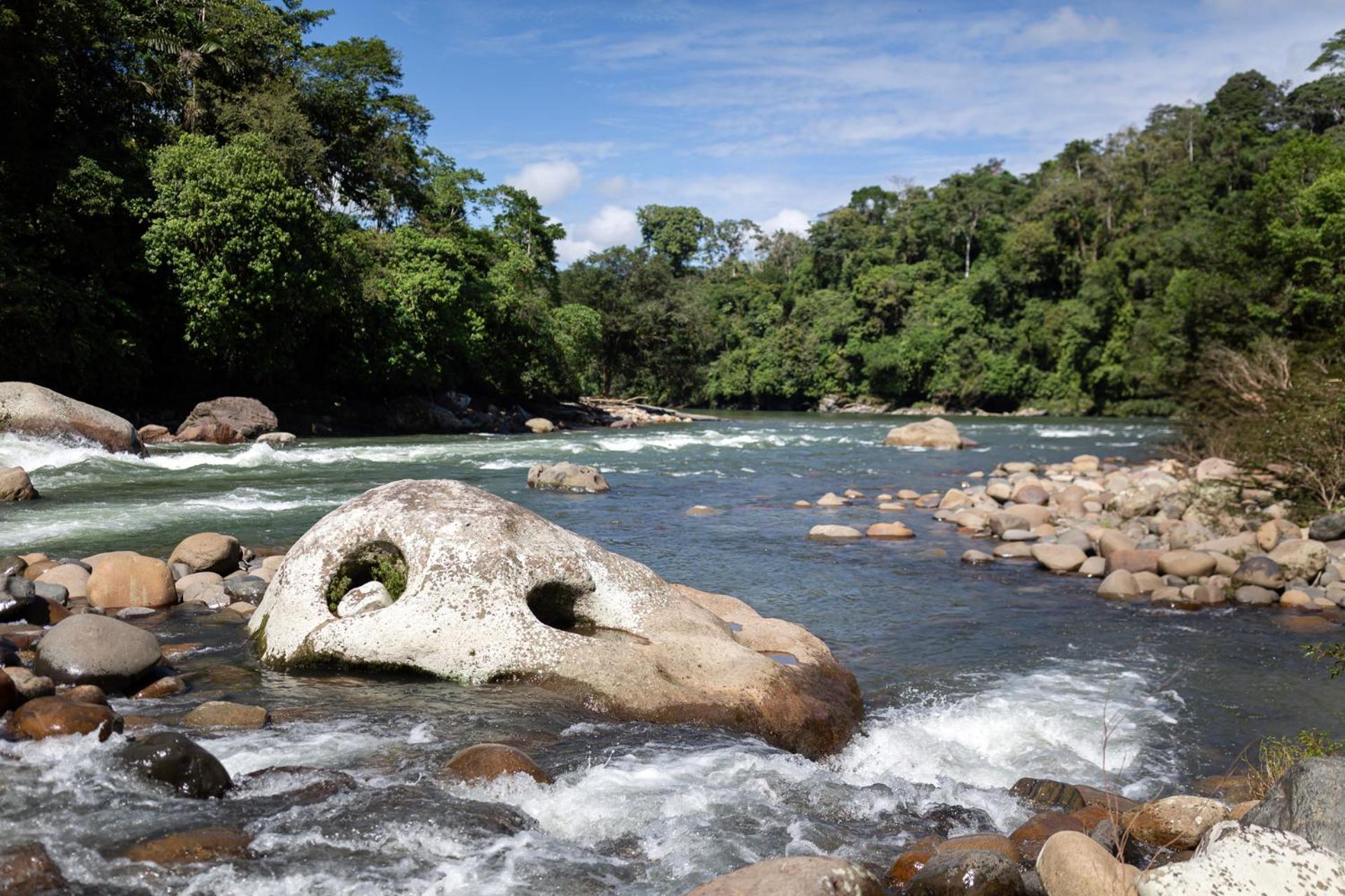 Kuyana Amazon Lodge Archidona 외부 사진